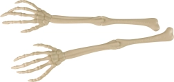 Hand Skeleton Decoration 2 Pieces