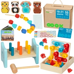 Montessori edukacinė dėžutė vaikams 19–21 mėn. – TOOKY TOY