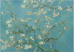 Puzzle Almond Blossom XL 700 pieces ANATOLIAN