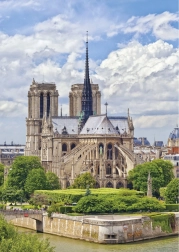Dino 1000 detalių dėlionė „Notre-Dame“
