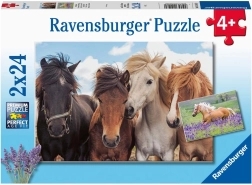 Ravensburger dėlionė Arkliai 2×24 detalės