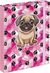 School Notebook Cover A5 - Paws