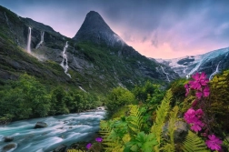 Ravensburger Puzzle Mountain Nature 4000 Pieces