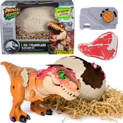 Interaktyvus dinozauras T‑Rex iš perinčio kiaušinio JURASSIC WORLD PRIMAL HATCH