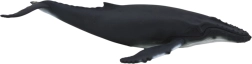 Realistic Humpback Whale Figure