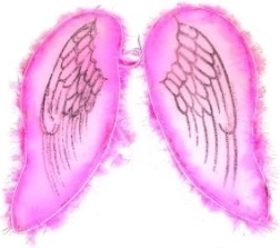 Rožiniai sparnai angelui ir fėjai