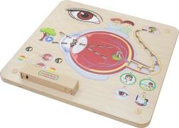 Masterkidz edukacinė Montessori regos lenta