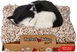 Perfect Petzzz juodai balta katė ant guolio