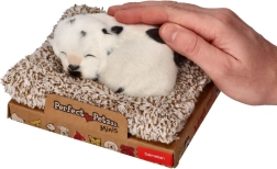 Lojantis dalmatinas ant guolio