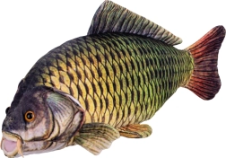 Pliušinis karpis 52 cm