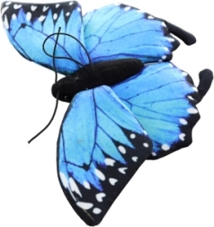 Pliušinis drugelis 24 cm, ekologiškas