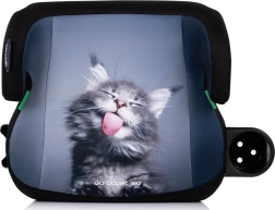 Chipolino automobilinė paaukštinimo kėdutė Go Boost i-Size 125–150 cm su ISOFIX – Cat