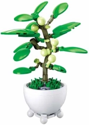 Sluban tropinis augalas vazonėlyje