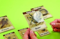 Edukacinis kasinėjimų rinkinys – vabalėliai