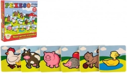 Medinis atminties žaidimas – mano pirmieji gyvūnėliai TEDDIES