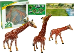 Edukacinės žirafų figūrėlės Šeima 3 vnt. + Afrika fonas