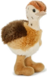 Pliušinis stručio jauniklis 20 cm