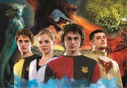 Dėlionė 1000 detalių HARRY POTTER