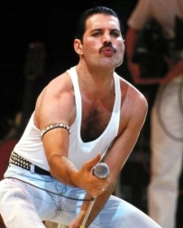 Deimantinė tapyba FREDDIE MERCURY 30 × 40 cm