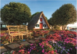 Educa Puzzle Santana, Madeira 1500 Pieces