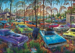 Dėlionė „Automobilių sąvartynas“ 1000 detalių ART PUZZLE