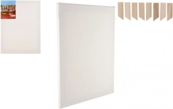 Tapytojo drobė 30x40 cm