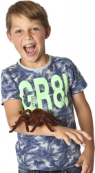 MAGANA šiurpus nuotoliniu būdu valdomas tarantulas voras