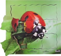Just Jigsaws medinė sluoksninė dėlionė „Boružė ir jos gyvenimo ciklas“ (19 dalių)