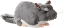 Plush Chinchilla 22 cm