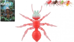 Antistresinis skruzdė