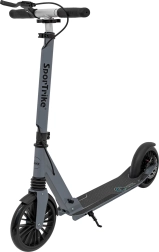 Sportrike miesto paspirtukas – Sidabrinė