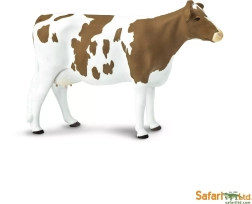 Safari Ltd. ayršyrų galvijai