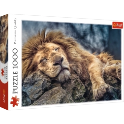 Dėlionė 1000 dalių Miegantis liūtas