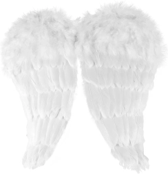 Angelo sparnai su plunksnomis