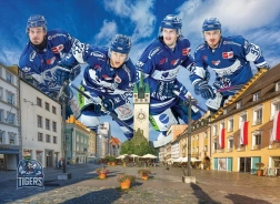 Puzzle STRAUBING TIGERS 1000 pieces by EUROGRAPHICS