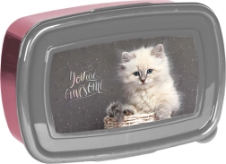 Paso užkandžių dėžutė su kačiuku 750 ml