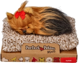 Perfect Petzzz mažas jorkšyro terjero šuniukas