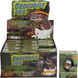 Kiaušinis su vandenyje augančiu krokodilu