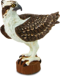 Safari Ltd. jūrinio erelio figūrėlė
