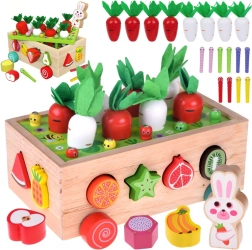 Medinis montesorio sodo vežimėlis su morkų derliumi, formomis ir magnetiniais kirmėliukais