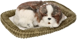 Įsivaikink mane – kvėpuojantis Shih Tzu šuniukas