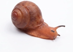 Guminis sraigė 13 cm