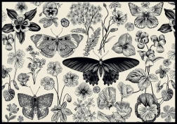 Puzzle INTERDRUK Butterflies and Flowers 500 Pieces