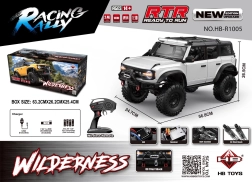 RC Car Wilderness 1:10 white
