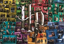 Dėlionė 1500 detalių HARRY POTTER per visus filmus