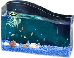 Kosmos vandens augintinis – sūrinė artemija startinis rinkinys