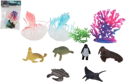 Jūros gyvūnėlių ir koralų rinkinys