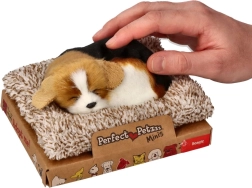 Lojantis biglis guolyje