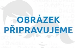 Medinė dėlionė Šuo 500 dalių