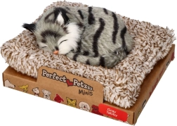 Perfect Petzzz mažas pilkas dryžuotas kačiukas